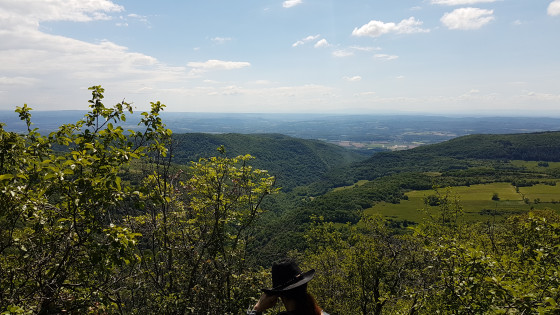 Vue de la falaise