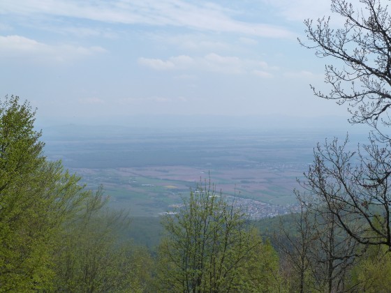 Vue de la pleine d\'Alsace