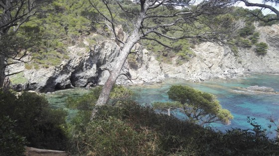 Vue de la Pointe du Piguet