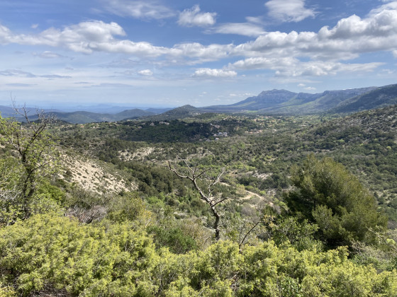 Vue  de la tour Cauvin sur l'est