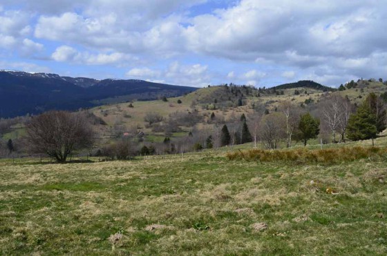 Vue de la tranchée Allemande vers les premières lignes Françaises