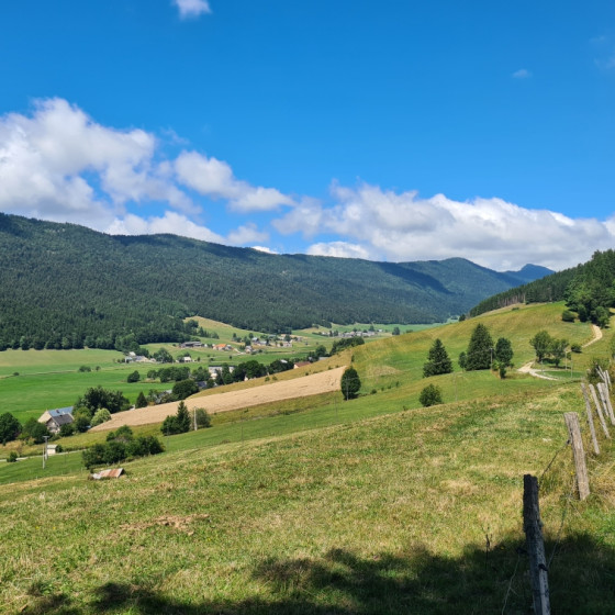 Vue de la vall&eacute;e de M&eacute;audre vers Autrans