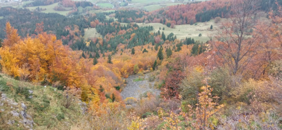 Vue de la vallée du sentier Gobert