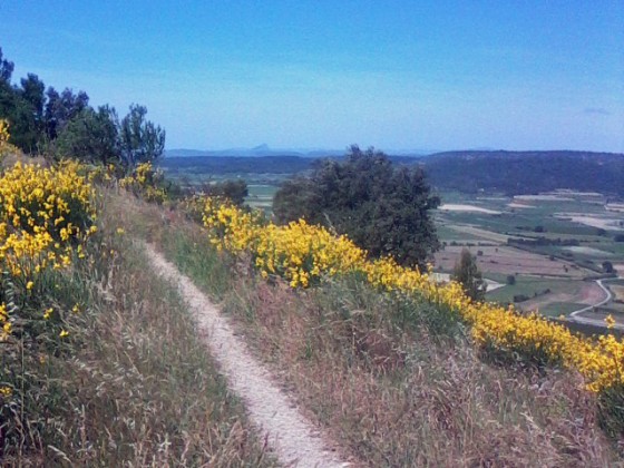 Vue de la Vaunage et du Pic St Loup