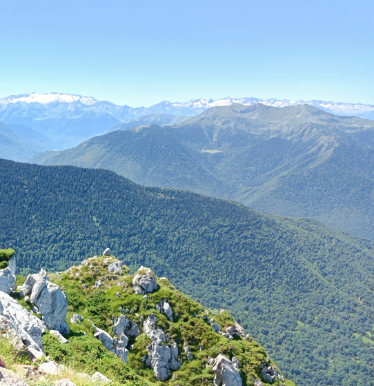 vue depis le sommet du pic