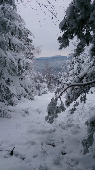 Vue depuis chemin des ruines Heidenscholss