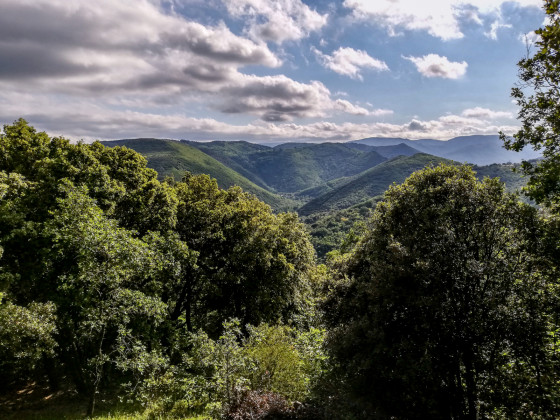 Vue depuis l'arri&egrave;re de la Chapelle