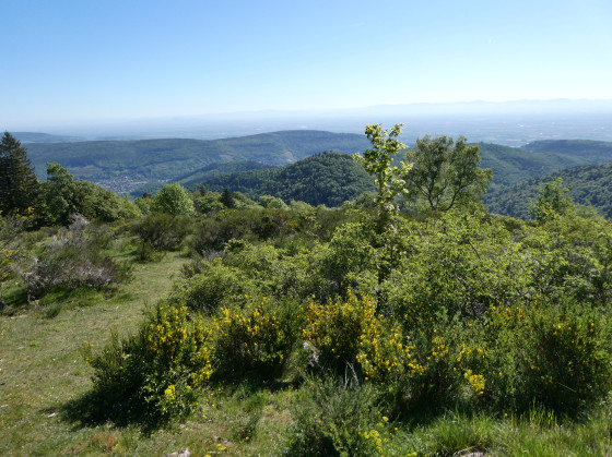 Vue depuis l'Ebeneck