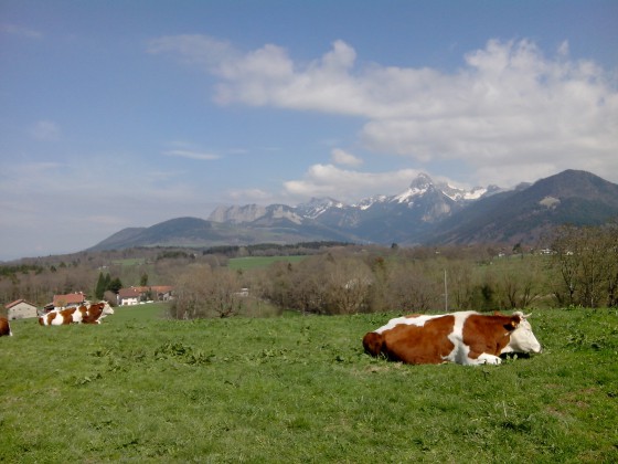 Vue depuis l\'Oratoire du Perron