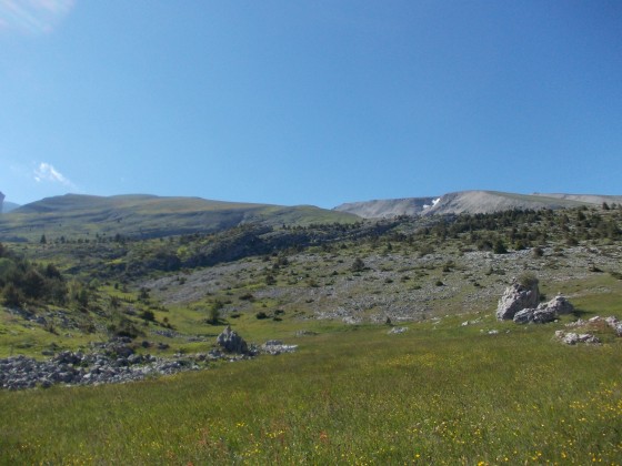 vue depuis la cabane du Camarguier