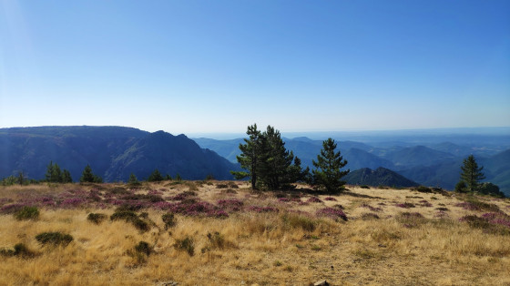 Vue depuis la chapelle