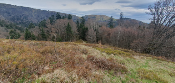 Vue depuis la clairière