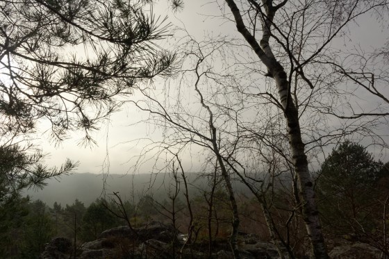 Vue depuis la crête de Corne-Biche
