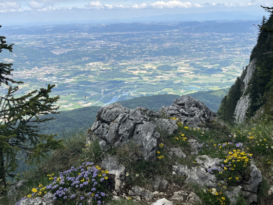 Vue depuis la Crête