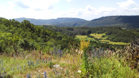 Vue depuis la crête