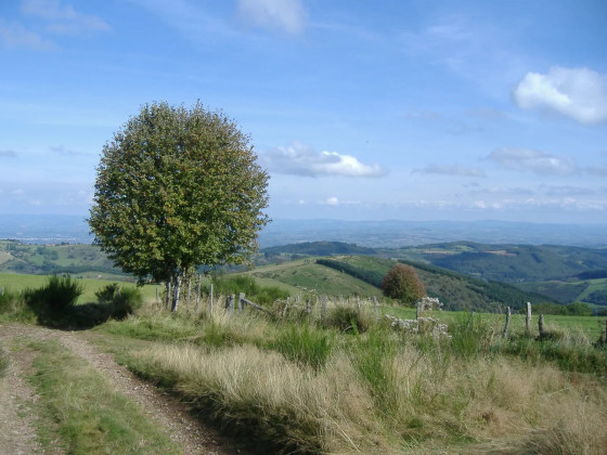 Vue depuis la Croix de la Loge