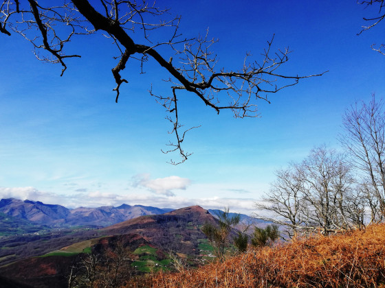 Vue depuis la forêt d'Arradoy