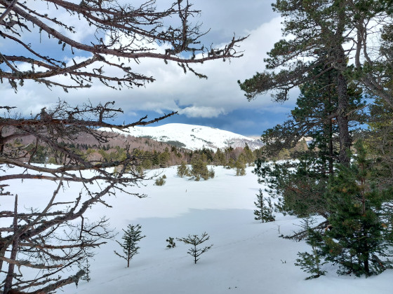 Vue depuis la Jaça de Callau