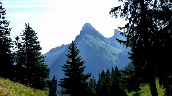 Vue depuis la montée finale au Mont Baron
