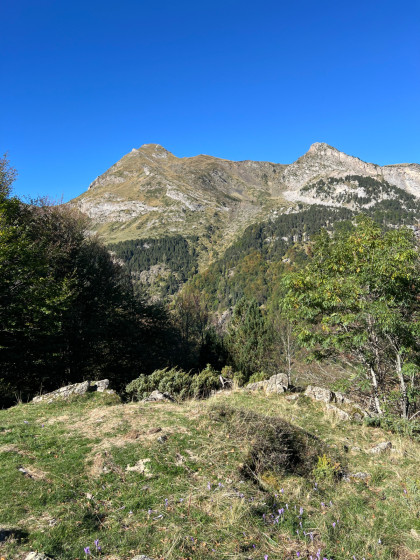 Vue depuis la petite clairière