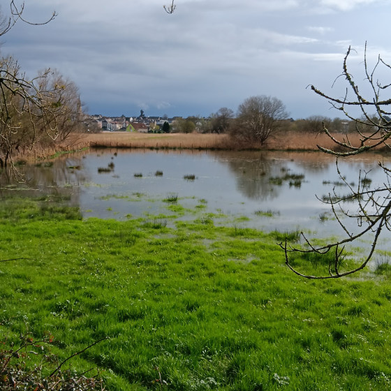 Vue depuis la Rotonde