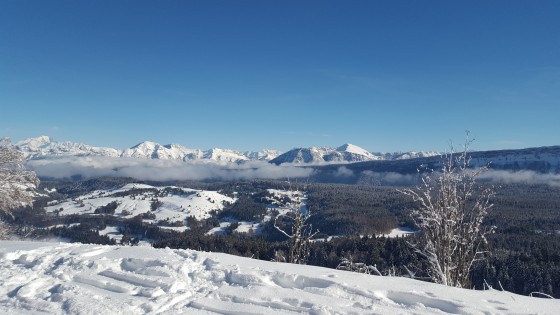 Vue depuis la Tour de l'Angle Est