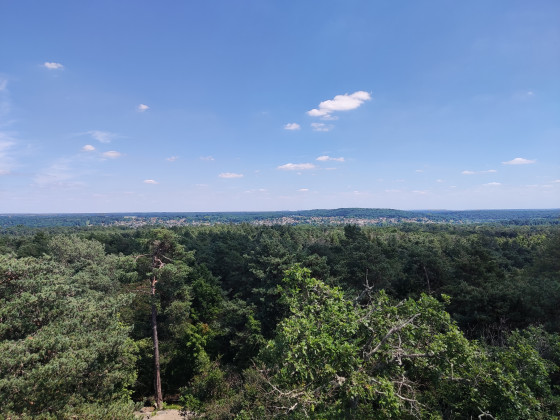 Vue depuis la tour denecourt