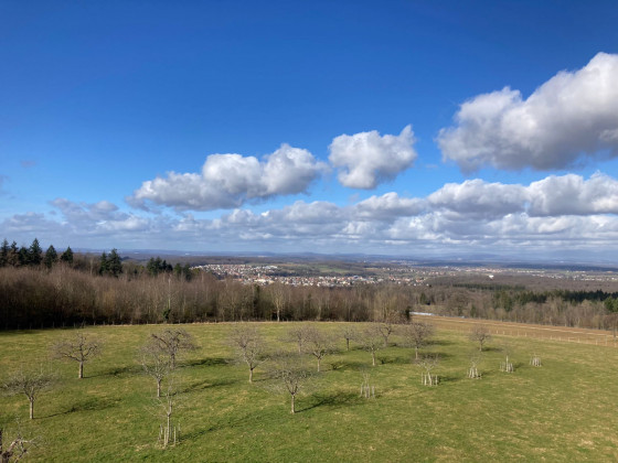 Vue depuis la tour panoramique