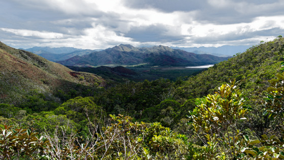 Vue depuis la zone de forêt sèche