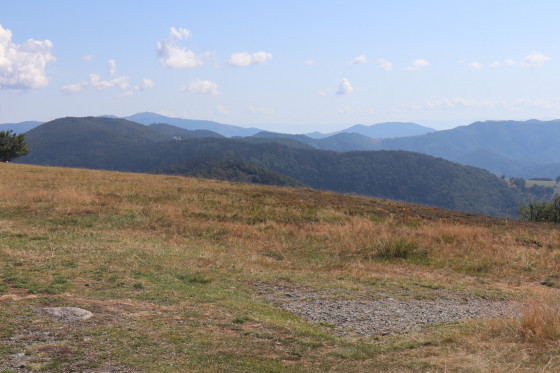 Vue depuis le Ballon d'Alsace.