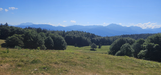 Vue depuis le chalet Pernet (Mont Blanc tout au fond)