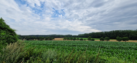 Vue depuis le chemin de Chesseroux