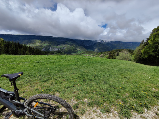 Vue depuis le chemin du bois des M&ucirc;res