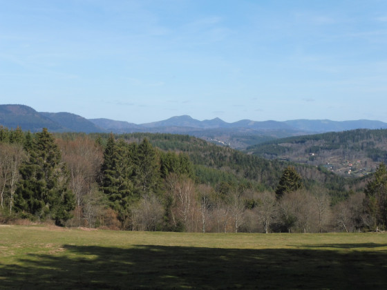 Vue depuis le chemin forestier de l'Alhant