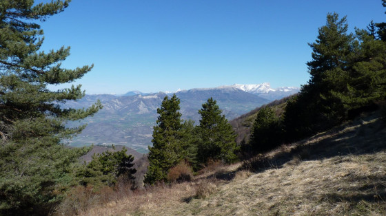 Vue depuis le Collu