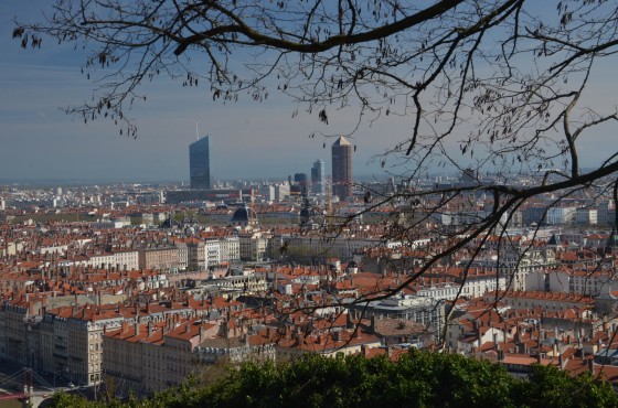 Vue depuis le jardin des curiosités