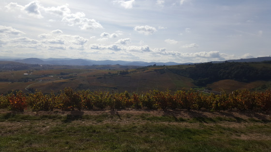 vue depuis le parcours