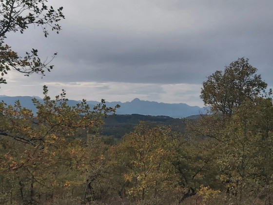 Vue depuis le plateau