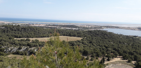 Vue depuis le plateau