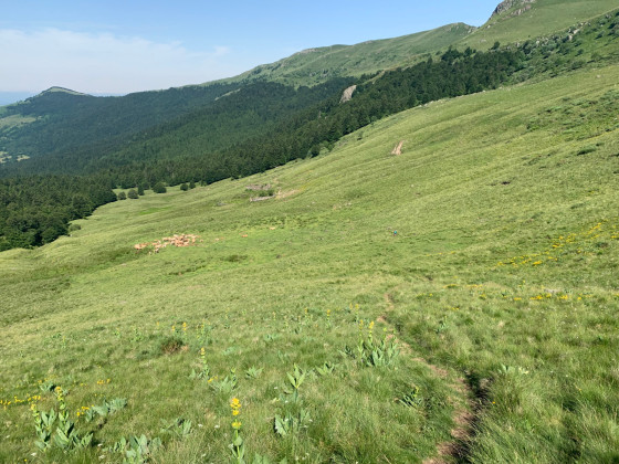 Vue depuis le Roc d\'Hozières