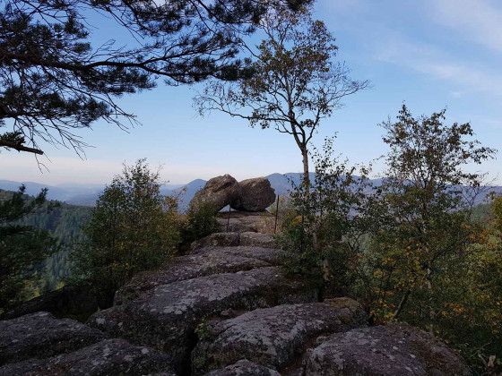 Vue depuis le Rocher du Pfaffenlapp