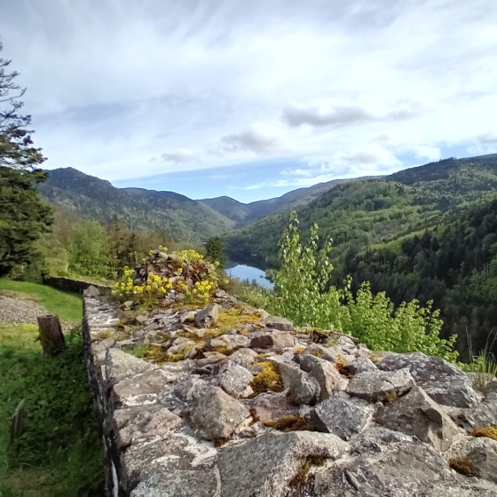 vue depuis le Schlossberg