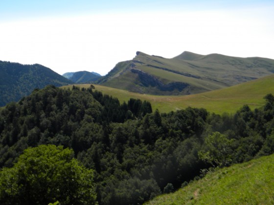 vue depuis le sentier dans l'alpage