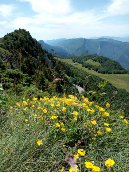 Vue depuis le Signal de Nave