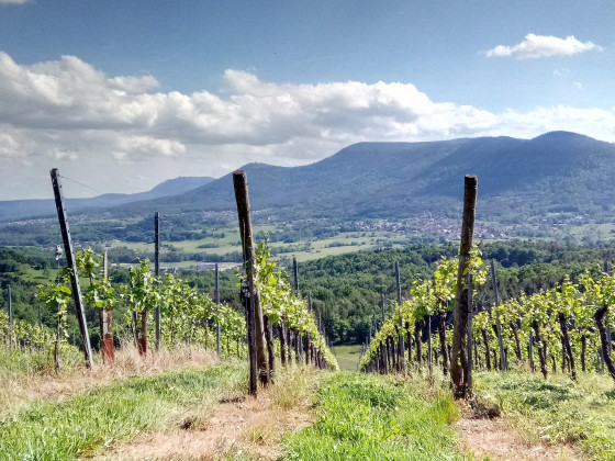 Vue depuis le sommet vers l'avant vallée