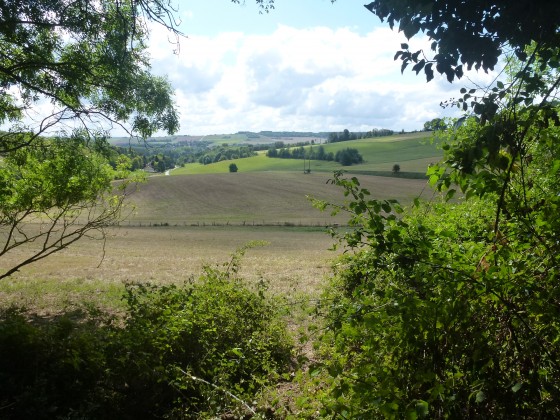 Vue depuis le vallon au-dessus de Sainte-Geneviève-lès-Gasny