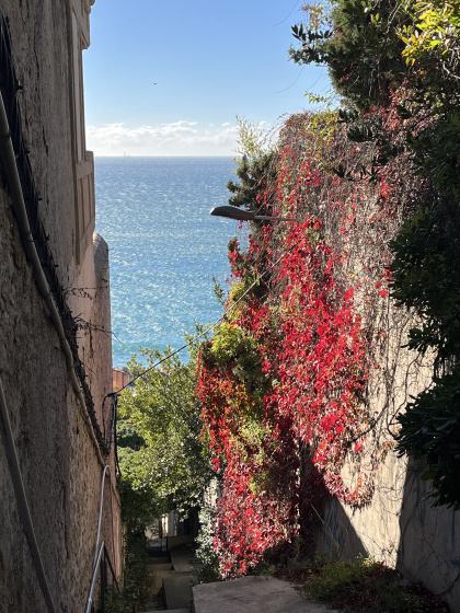 Vue depuis les escaliers descendant vers la corniche Kennedy