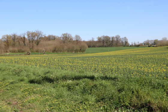 Vue depuis les Ponchardrties