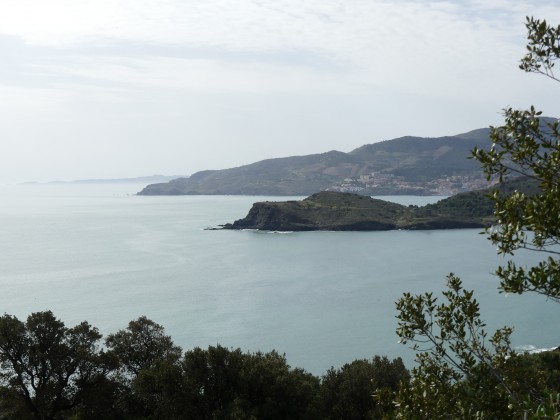 Vue depuis les vignes
