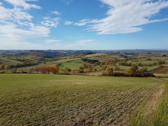 Vue depuis près châtaigne